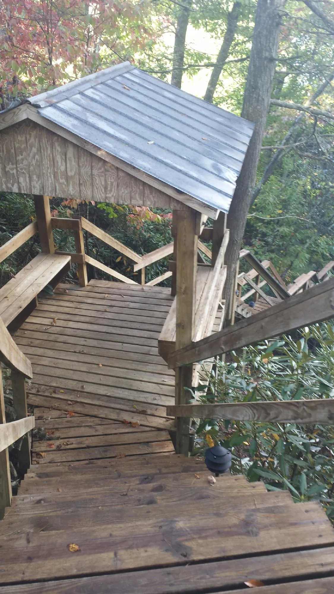 Metal roofed shelter over wooden steps on a wooded walkway — Skylight Repair & Installation work by our crew in Roopville